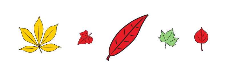 Five leaves in a row. Leaf 1: large, yellow. Leaf 2: small, red. Leaf 3: large, red. Leaf 4: small, green. Leaf 5: small, red.