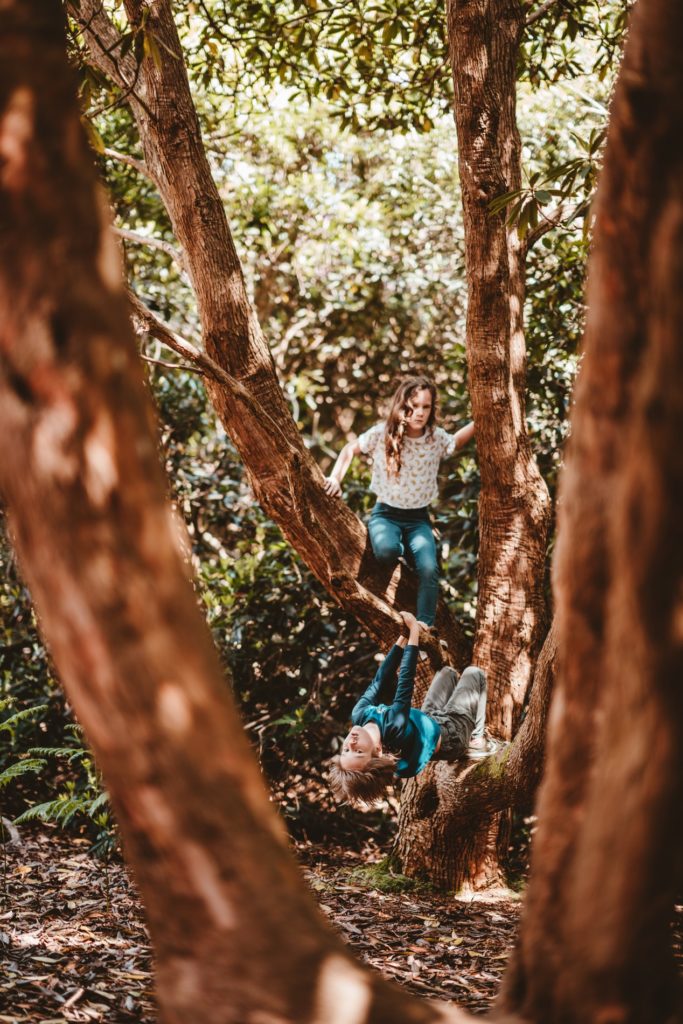 vacances dans l'arbre