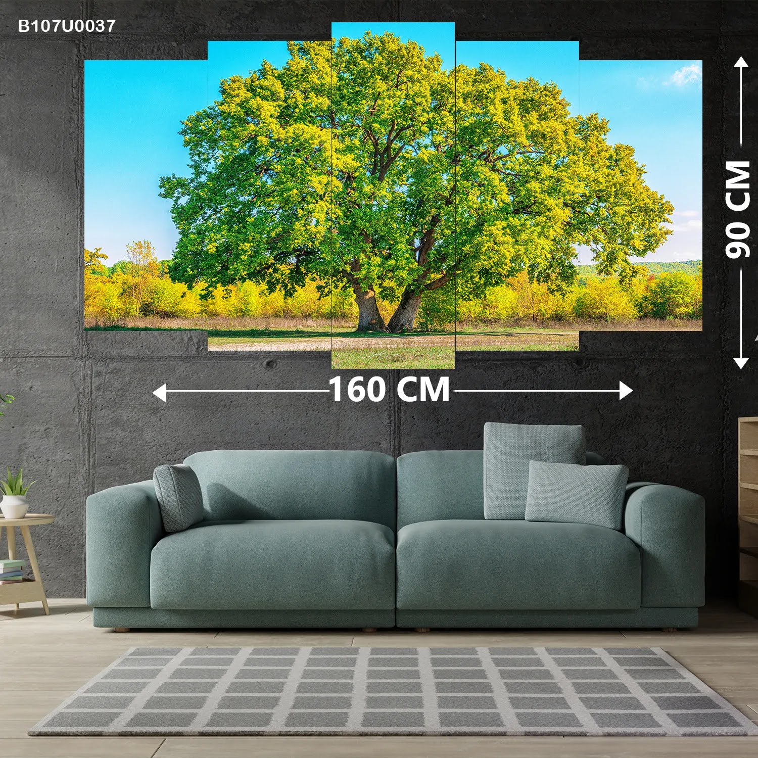لوحات خماسية مدرج قياس كبير