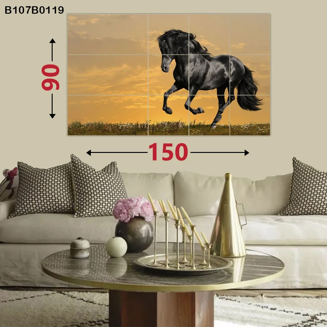 Large picture of Arab horse