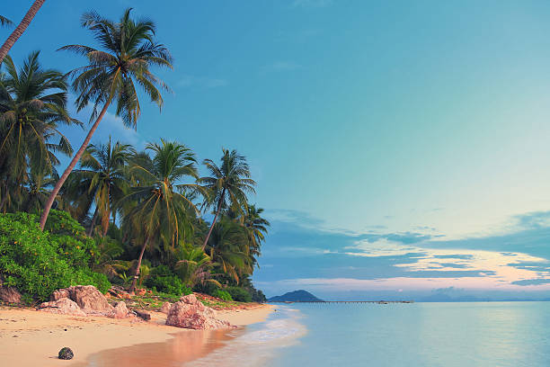 Samui, the paradise of smiles