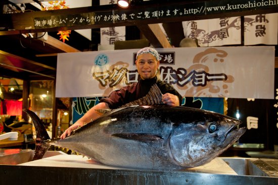 Kuroshio Fish Market ชมการแล่ปลามากุโระสุดตื่นเต้นที่ตลาดคุโรชิโอะ 2