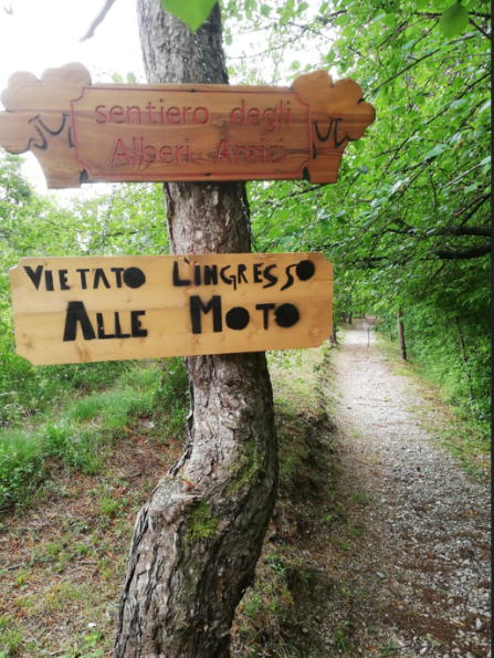 Immagine che contiene testo, albero, esterni, erbaDescrizione generata automaticamente