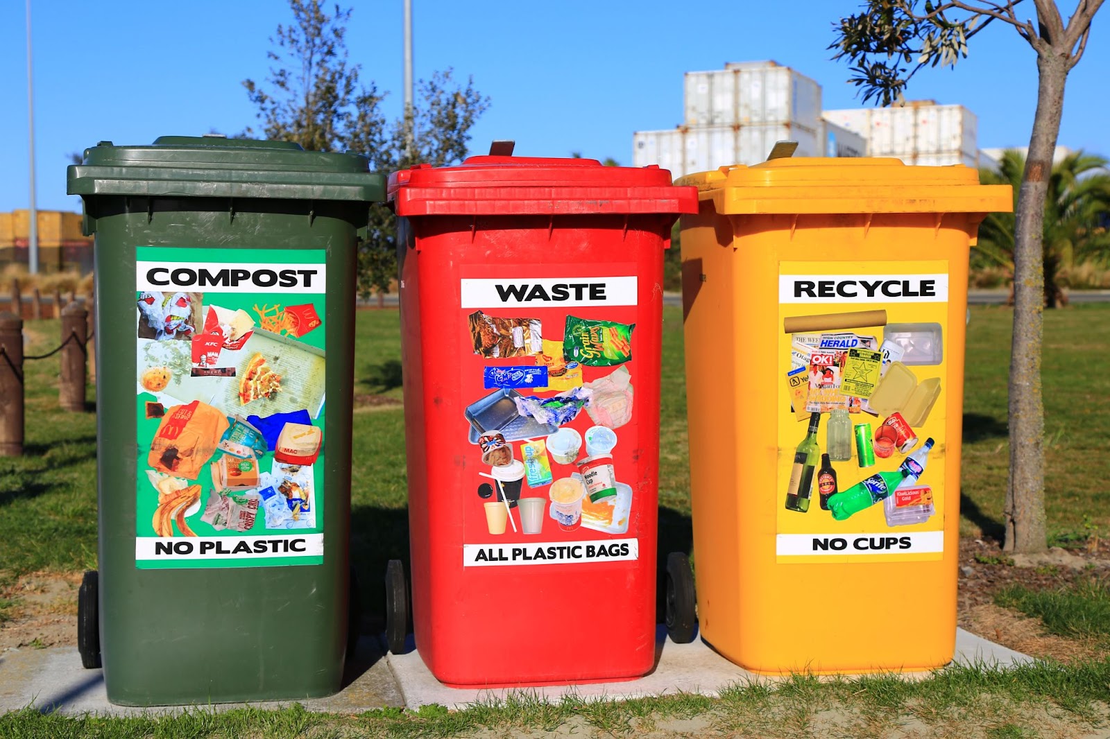 a green compost bin, a red waste bin, and a yellow recycle bin