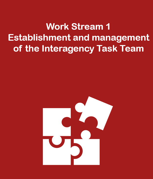 Work Stream 1: Establishment and management of the Interagency Task Team