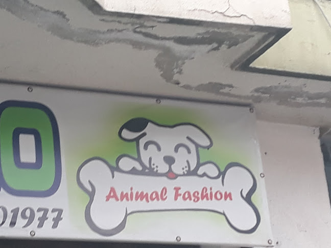 Animal Fashion - Veterinario
