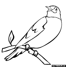 Image result for robin bird coloring pages