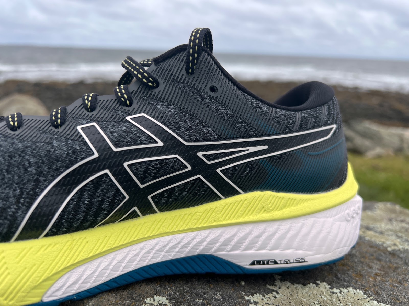 Road Trail Run: ASICS GT-2000 10 Multi Tester Review: A Friendlier and ...