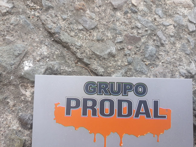 Opiniones de Grupo Prodal en Cuenca - Tienda de pinturas