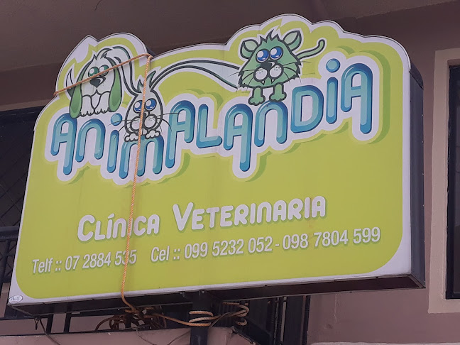 Opiniones de Animalandia en Cuenca - Veterinario