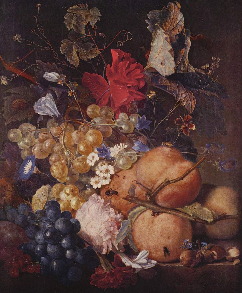 800px-Jan_van_Huysum_002.jpg