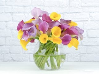 Calla Lilies In Vase, Pink And Yellow Calla Lilies
Shutterstock.com
New York, NY