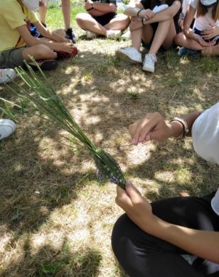 la boccetta di lavanda.jpg