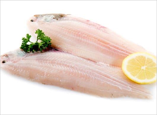 G:\Nova pasta (2)\Peixes\-Panga\Excluir\shutterstock_67416532.jpg