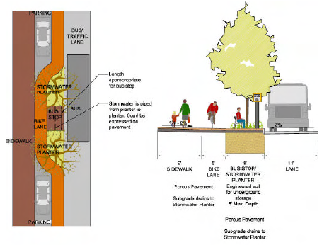 Diagram of bioretention subsurface infrastructure integrated below a street with various features such as a bike lane, an inline bus stop with street trees, and sidewalk.