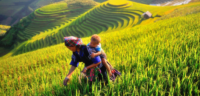 Tour du lịch Yên Bái - Núi rừng hùng vĩ cùng người dân thân thiện là điểm thu hút của vùng đất Yên Bái