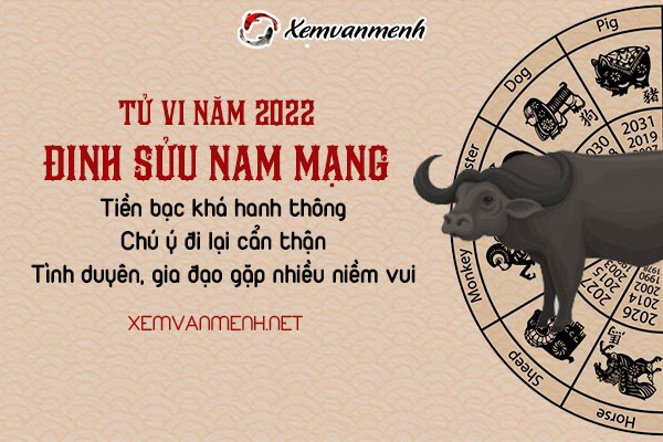 tu-vi-tuoi-dinh-suu-nam-2022-nam-mang-1997
