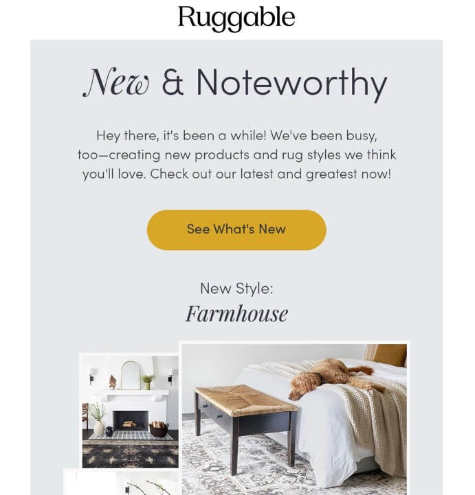 win-back email from Ruggable