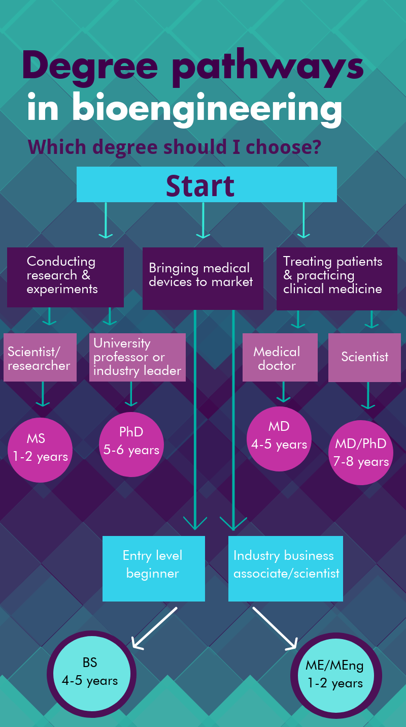 Degree pathways in bioengineering. Which degree should I choose? Infographic. Asks relevant questions to send users on the correct study path for them. Ending in either BS 4-5 years or ME/MEng 1-2 years bioengineering degree