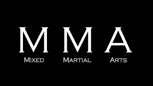 Image result for mma