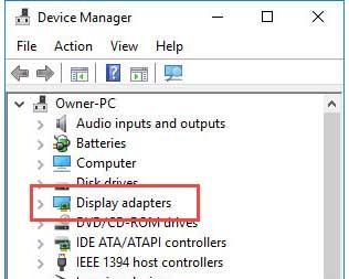 Double-click the Display adapters category