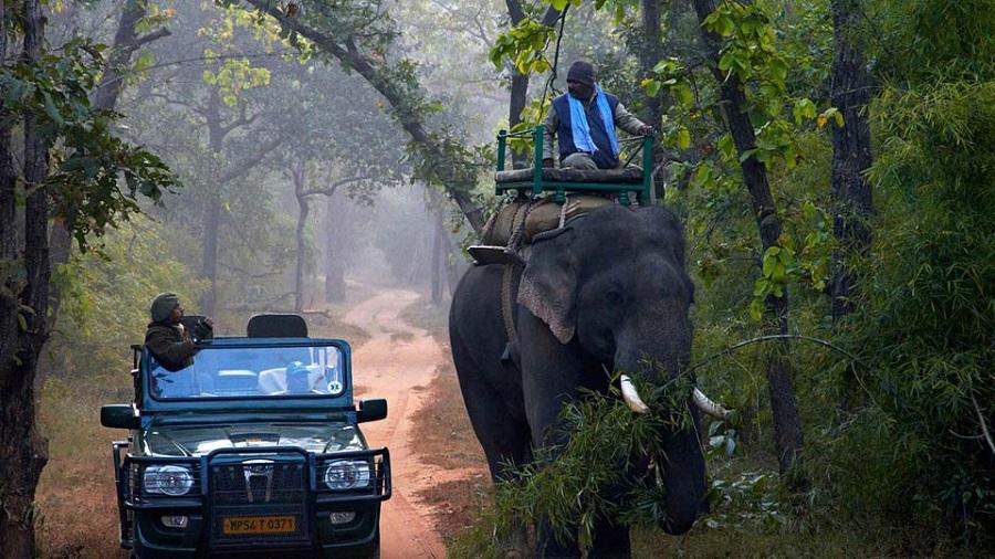 There Is Much to Do In Bandhavgarh National Park Apart From Jungle Safari