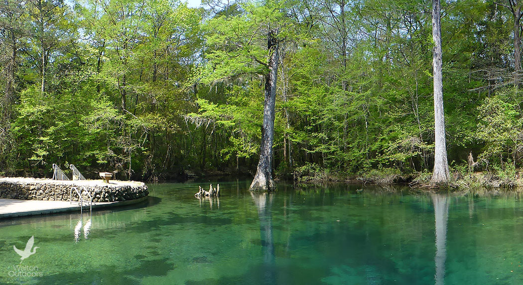 Ponce de Leon Springs