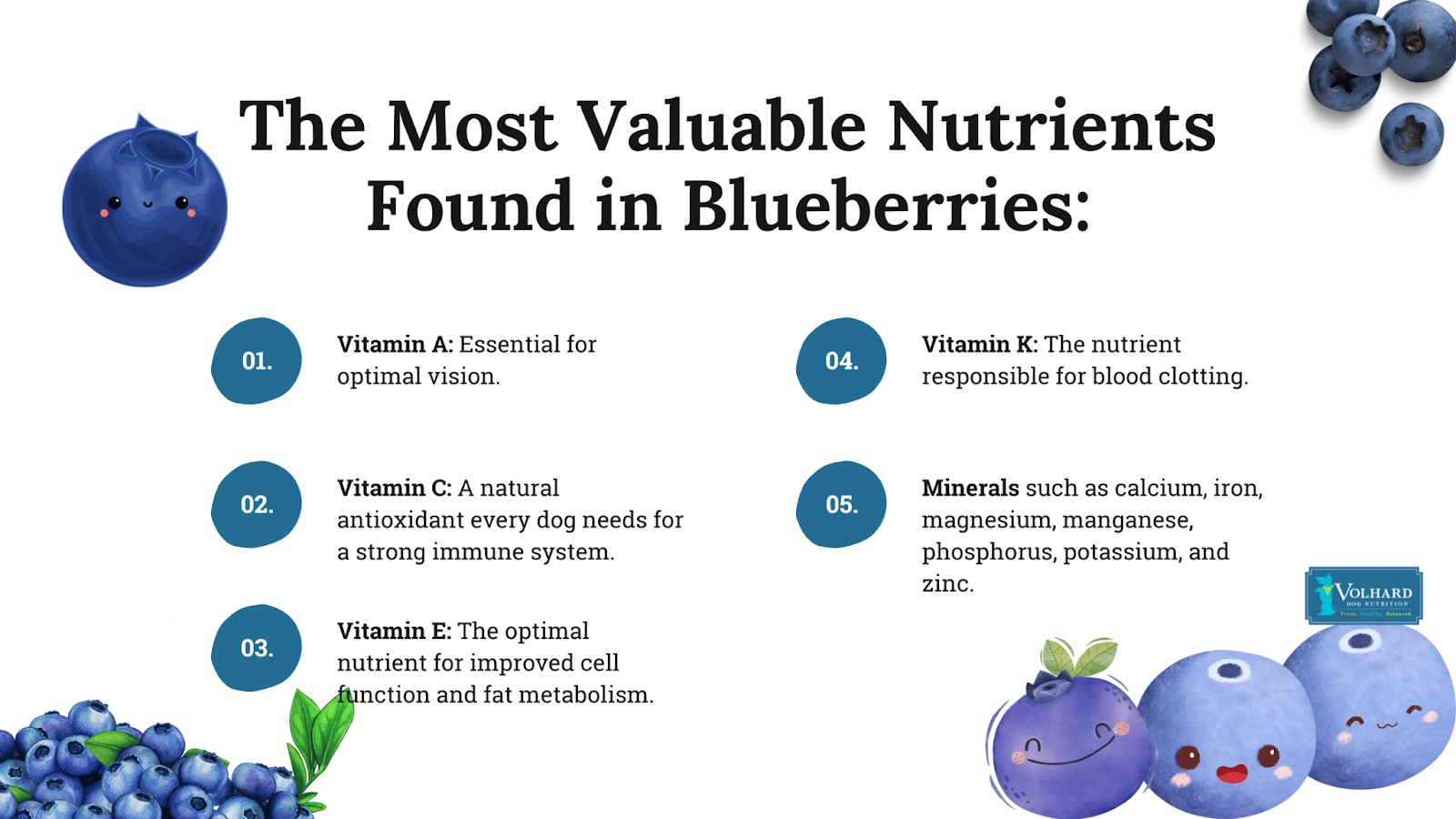 The most valuable nutrients found in blueberries