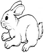 http://4.bp.blogspot.com/-aloas08R0_s/UMBNgm-1I-I/AAAAAAAAAVk/gD8RYGcEI8o/s1600/Bunny-Si-Kelinci%2B-%2BRealisticColoringPages.com.jpg