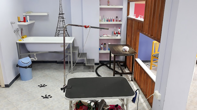 Ohlalá pets spa