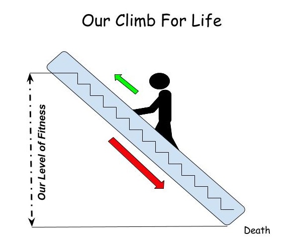 The Escalator of Life Down.jpg