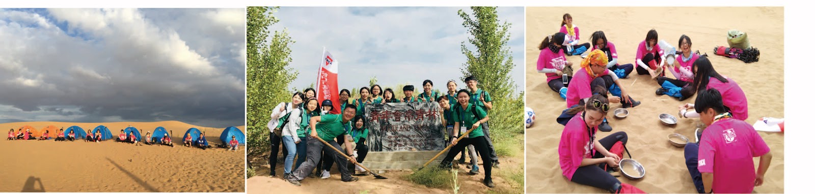 YMCA國際海外志工  寧夏  種樹  樹木  服務學習