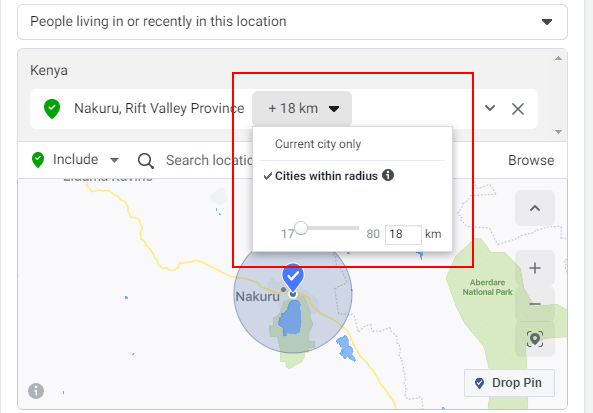 How Do Facebook Ads work in Kenya