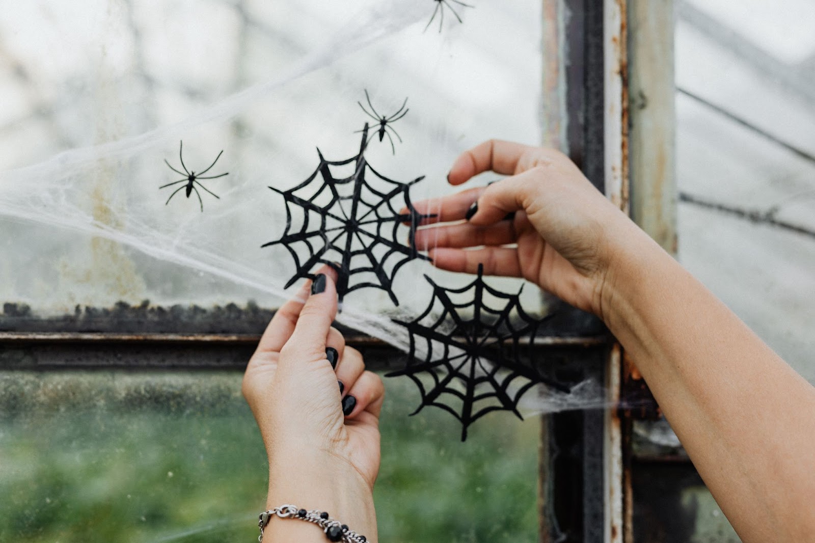 Plastic spiders and pretend cobwebs for Halloween