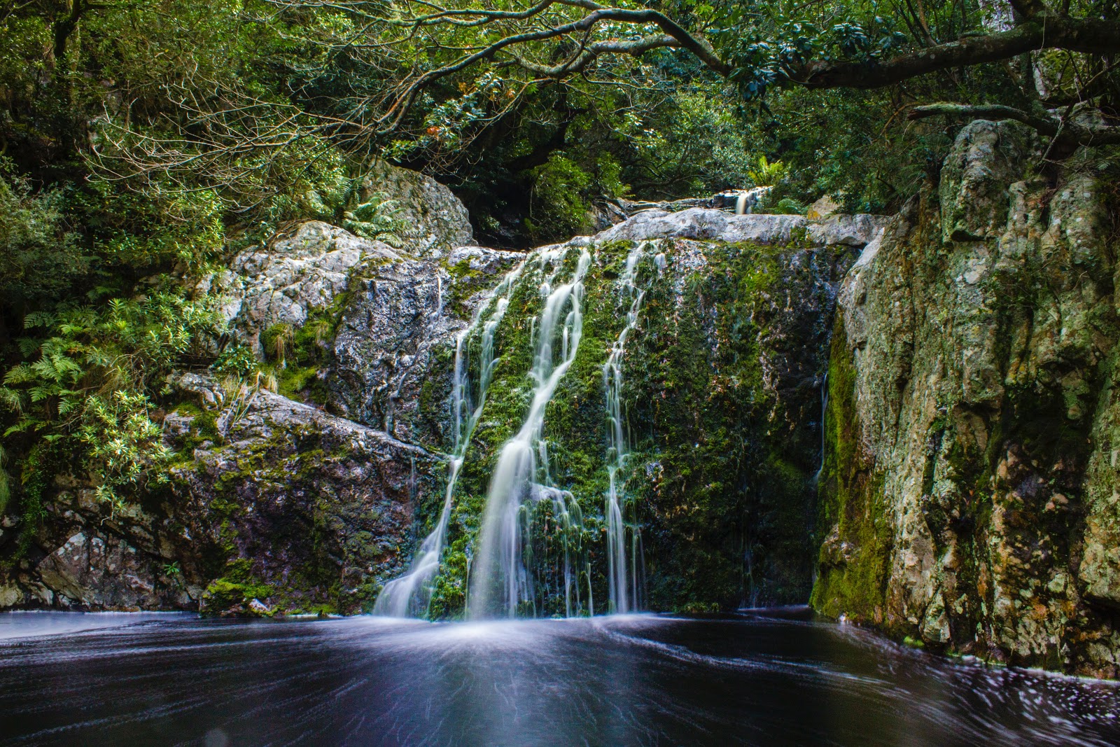 Image of a water fall in a tropical forest 
