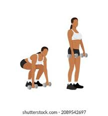 Dumbbell Deadlift 
Standing with your feet hip-width apart, hunch forward at the hips, and drop the weights down to the floor while holding a dumbbell in each hand. To get back up, drive your heels into the floor. Perform 3 sets of 10–12 repetitions.