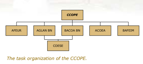 Graph showing the structure of the CCOES, which includes the AFEUR or AFEAU. 