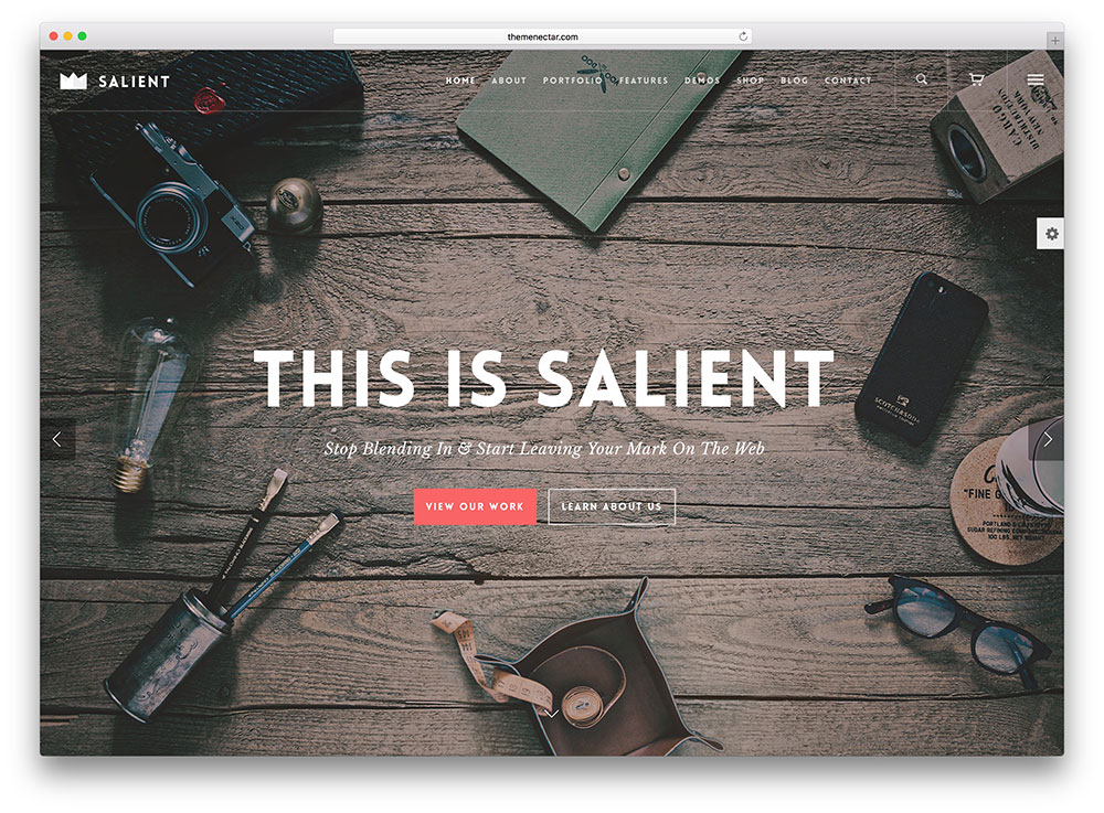 salient-full -screen-creative-agency-theme