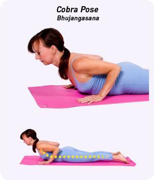 http://www.yogaoutlet.com/userfiles/image/Yoga_CobraPose_01_300x350.jpg