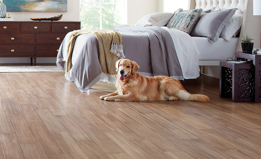 flooring for dogs