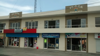 Plaza Tulipanes