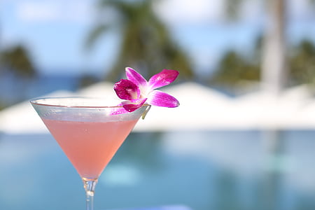 https://i2.pickpik.com/photos/398/673/311/cocktail-may-day-labor-day-hawaii-thumb.jpg