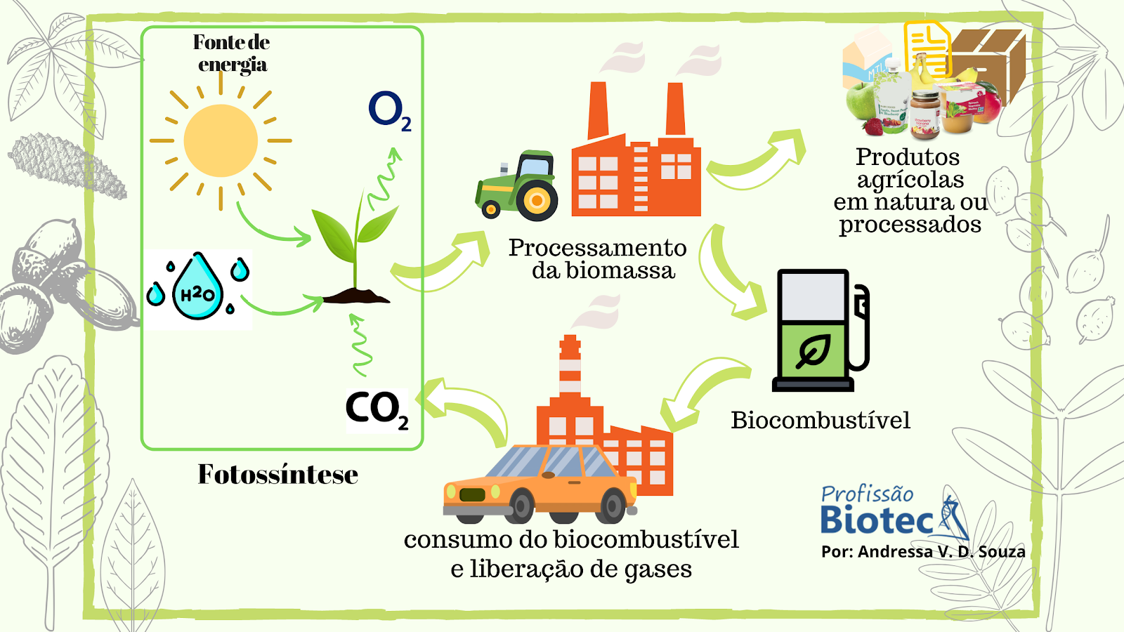 Ciclo do carbono neutro do biocombustível. Da captação do CO₂ na produção da planta à emissão pelo biocombustível.