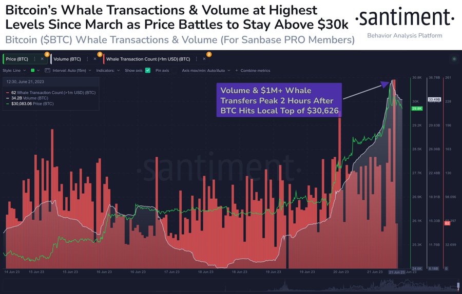 Bitcoin whale transactions soar to highest in over 3 months as price exceeds $30k