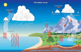 Image result for water cycle