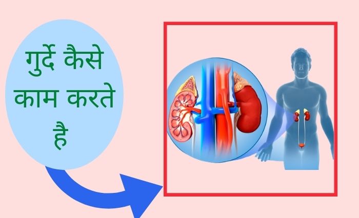 गुर्दे की बीमारी
