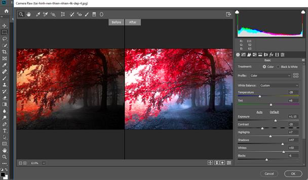 Hướng Dẫn Sử Dụng Camera Raw Trong Photoshop