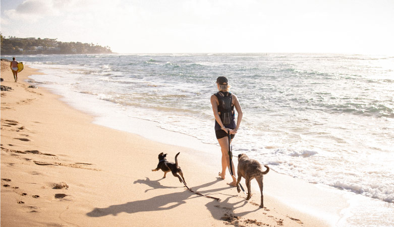 A woman walking on the beach in Hawaii with her dogs