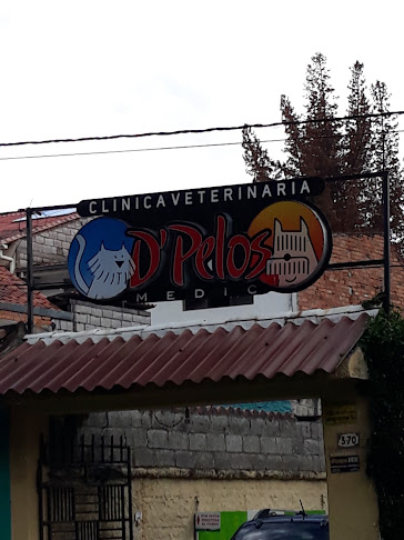 Opiniones de D' Pelos Medic CLINICA VETERINARIA en Cuenca - Veterinario