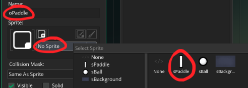 assigning the paddle sprite to the object